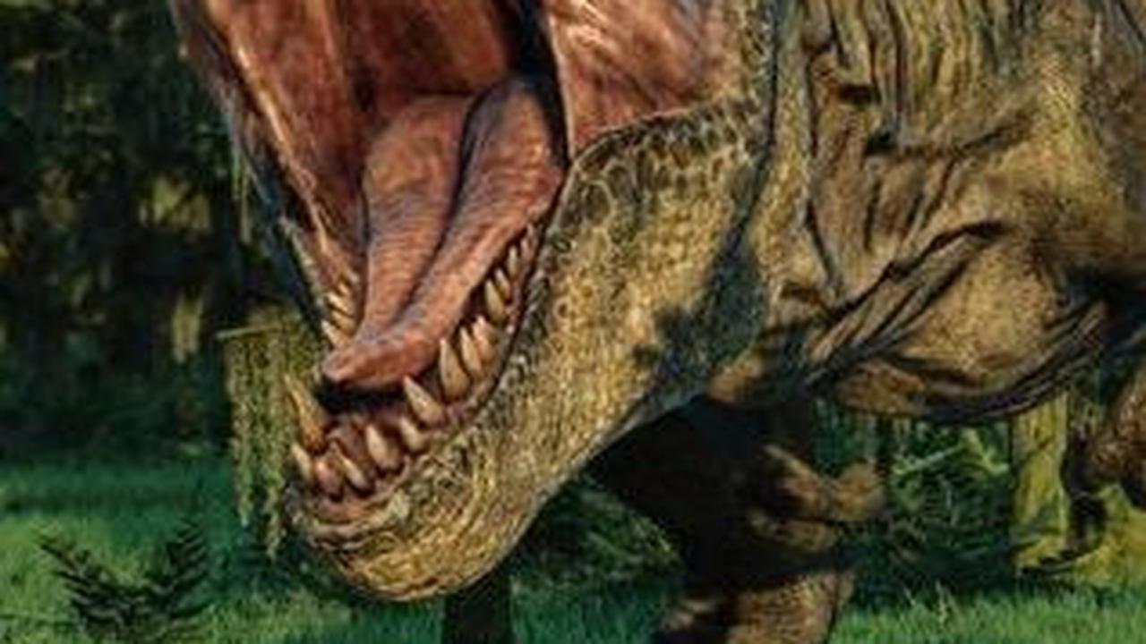 Ahli Sebut Bahwa Nanotyrannus adalah Spesies Berbeda dari Tyrannosaurus Kecil