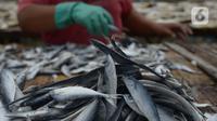 Pekerja menjemur ikan asin di Sentra Pengolahan Ikan Asin Kampung Nelayan Muara Angke, Jakarta, Selasa (16/11/2021). Produksi ikan asin mengalami harga stabil saat pandemi Covid-19 di level 1 dengan harga jual kisaran Rp 38 ribu per kilogram meski cuaca kurang baik. (merdeka.com/Imam Buhori)