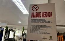 Fakta Mengejutkan: Hampir Sepertiga Dewasa Indonesia Merokok, Kemenkes Ingatkan Bahaya Rokok dan Penyakit Tidak Menular