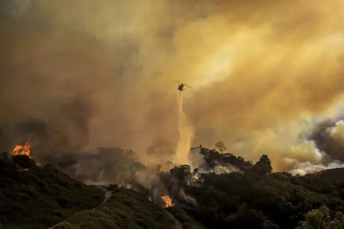 Kerugian Akibat Kebakaran Hutan Los Angeles Capai Rp810 Triliun