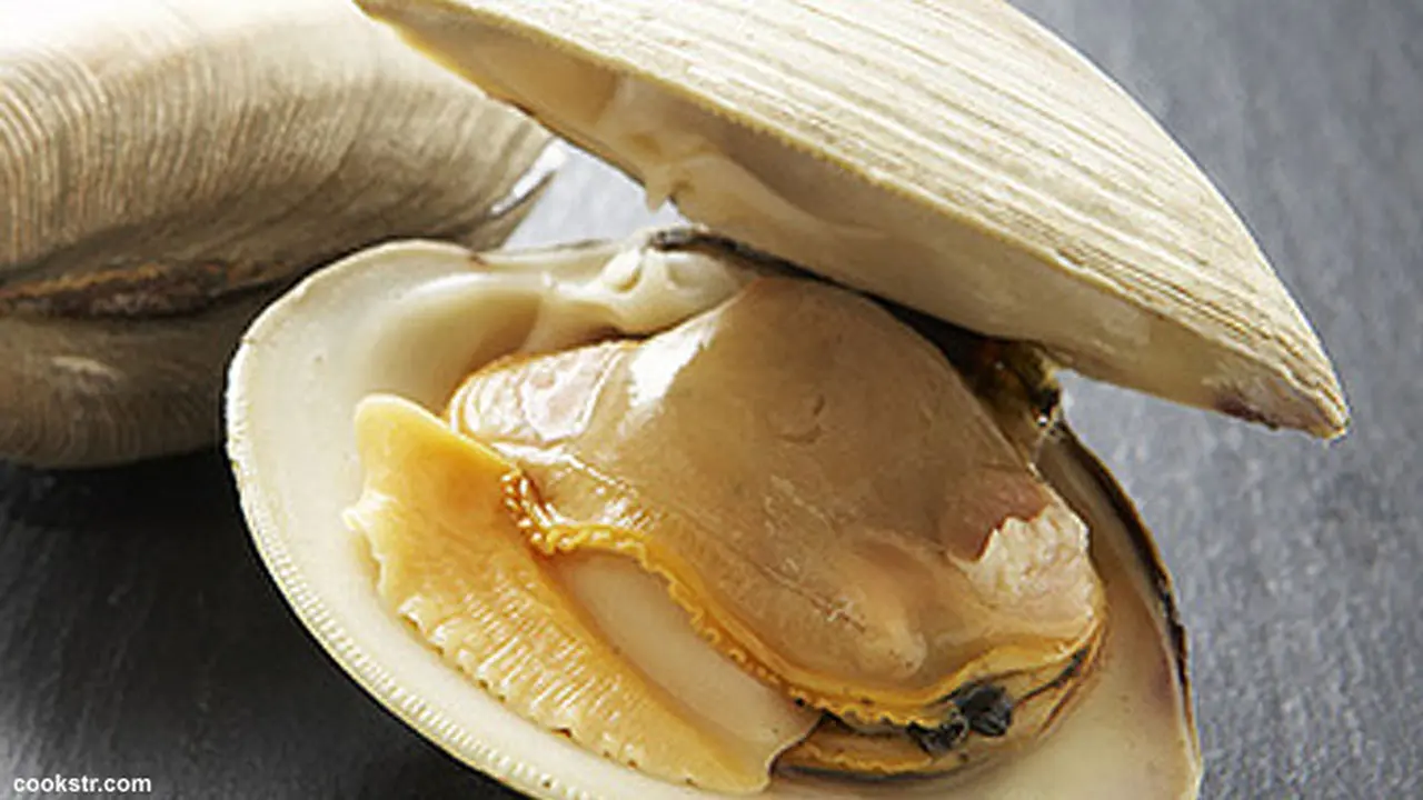 kerang130218b.jpg