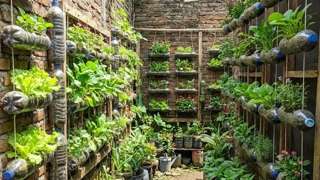 Model Kebun Sayur Rumah Urban Farming