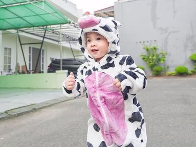 Nah, ini dia Gala Sky yang terlalu gemas banget memakai kostum hewan sapi. (instagram.com @fuji_an)