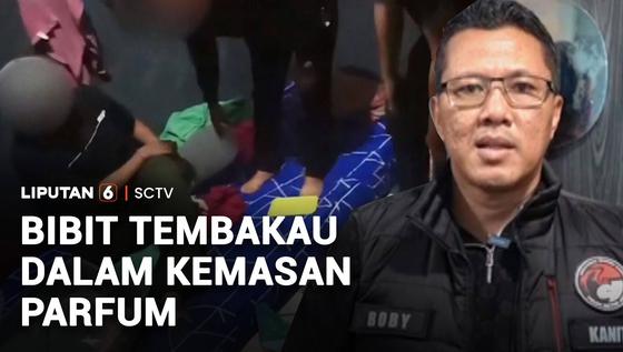 Modus Baru Edarkan Bibit Tembakau Sintetis dalam Botol Parfum