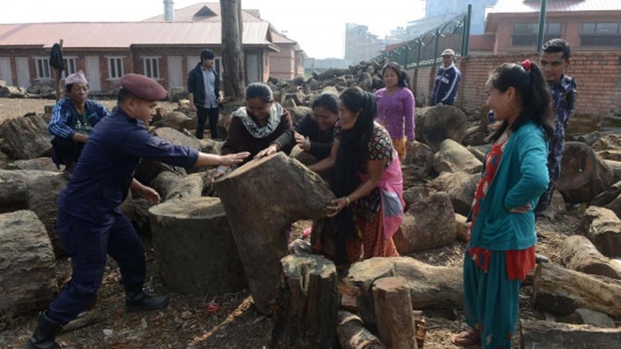 Krisis BBM, pemerintah Nepal jual kayu bakar