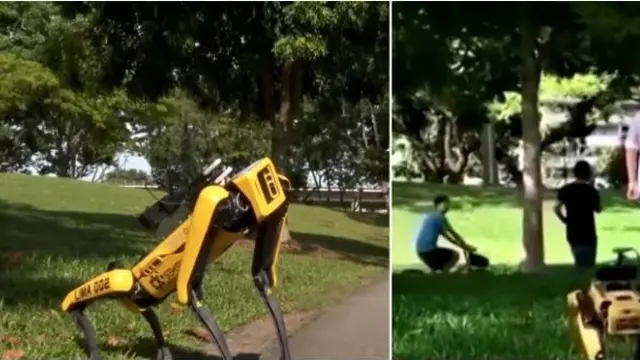 Singapura Kini Punya Anjing Robot yang Paksa Orang Jaga Jarak