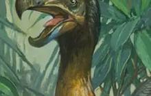 Bukti Kepunahan Akibat Manusia, Ini Penampakan Burung Dodo yang Jadi Simbol Paling Ikonik & Akan Dihidupkan Kembali