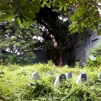 Wajah Makam Buttatianang (tanah hamil) di Makassar yang diyakini masyarakat setempat cukup angker (Liputan6.com/ Eka Hakim)