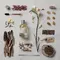 Le Labo Shiu 25 Hadirkan Aroma yang Terinspirasi dari Keheningan di Tengah Keramaian Beijing