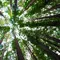 Hari Pelanggan Nasional 2026, Saatnya Konsumen Lebih Cermat Memilih Produk Ramah Hutan