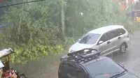 Pohon raksasa di Kota Binjai tumbang