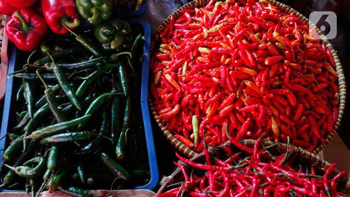 Petani Menjerit, Biaya Produksi Cabai Lebih Mahal dari Harga Jual