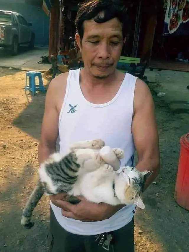 7 Potret Absurd Bapak-Bapak Momong Kucing Bak Anak Sendiri Ini Kocak