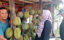 Musim Panen Tiba, Pedagang Raup Omzet Puluhan Juta dari Jualan Durian Badui di Rangkasbitung