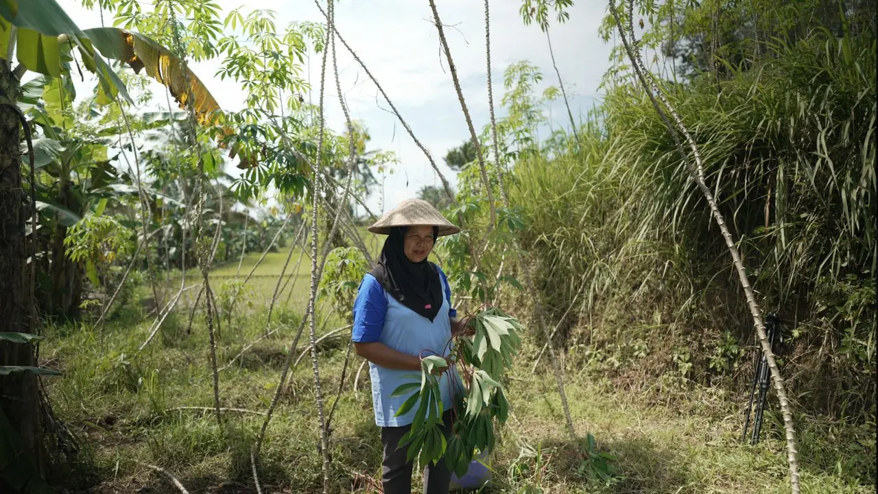 Nurlaela, petani singkong binaan Desa Emas Program kolaborasi Yayasan Indonesia Setara dan Inotek (Istimewa)