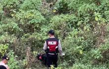 Terungkap Motif Alvi Maulana Mutilasi Kekasih hingga 65 Potongan Tubuh di Mojokerto