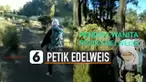 Pendaki gunung lagi-lagi melakukan hal yang tidak semestinya dilakukan. Yaitu memetik dan membawa bunga edelweis.