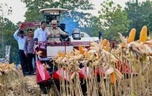 FOTO: Prabowo Panen Jagung dan Luncurkan Operasional Ketahanan Pangan