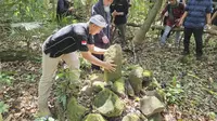 Struktur batu di Gunung Tangkil diduga bekas benteng megalitik. (Dok. museumprabusiliwangi.org)