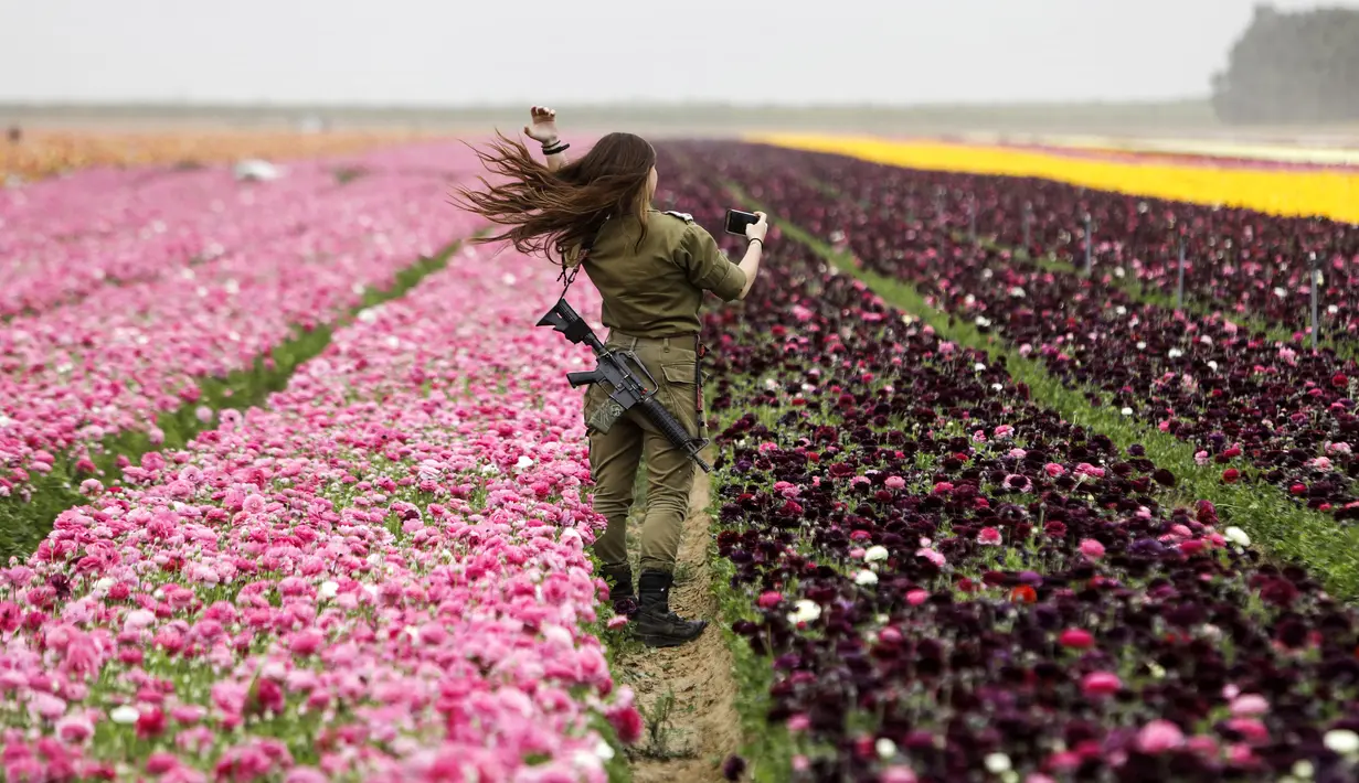Seorang tentara wanita Israel berswafoto di Taman Bunga Ranunculus di Kibbutz, Nir Yitzhak, di perbatasan Israel-Jalur Gaza (12/4). Taman Bunga Ranunculus ramai didatangi warga saat hari liburan Yahudi Pesach (Paskah). (AFP PHOTO/MENAHEM KAHANA)