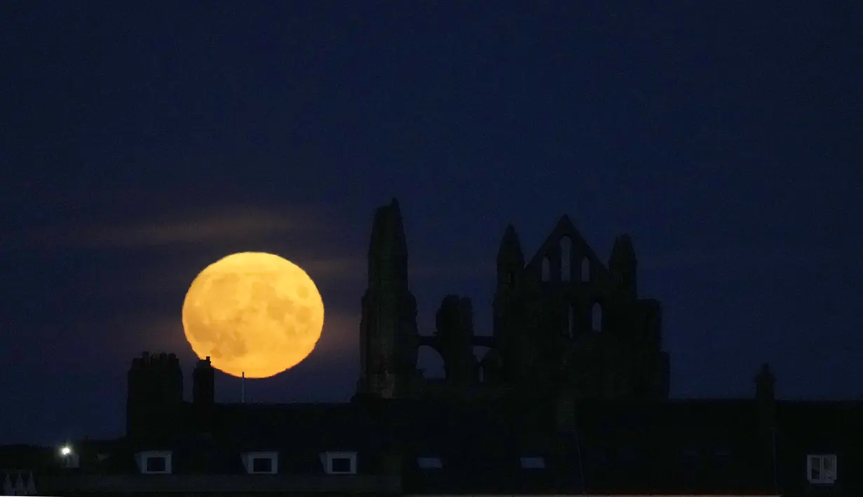 Bulan purnama yang dikenal sebagai Harvest moon muncul di atas Whitby Abbey, di Whitby, Inggris, Senin (20/9/2021). Bulan purnama Harvest Moon biasanya terjadi di bulan September, namun kadang juga terlambat hingga ke Oktober. (AP Photo/Alastair Grant)