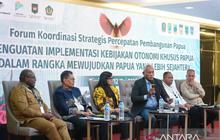 DPR RI Tekankan Kapasitas Tata Kelola Kunci Utama Keberhasilan Otsus Papua