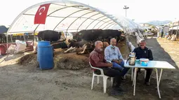 Para pria menunggu pembeli hewan kurban di pasar darurat yang didirikan oleh Kotamadya Yenimahalle menjelang hari raya Idul Adha di lingkungan Yakacik, Ankara, Turki, Senin (12/7/2021). Hari suci umat Muslim, Idul Adha dilaksanakan dengan menyembelih hewan kurban. (Adem ALTAN / AFP)