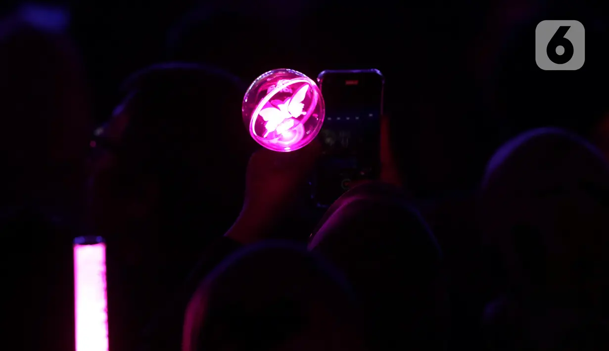 Selama konser, penggemar terus mengoyang-goyangkan lightstick sambil megikuti irama lagu yang dibawakan Taeyeon. (Liputan6.com/Helmi Fithriansyah)