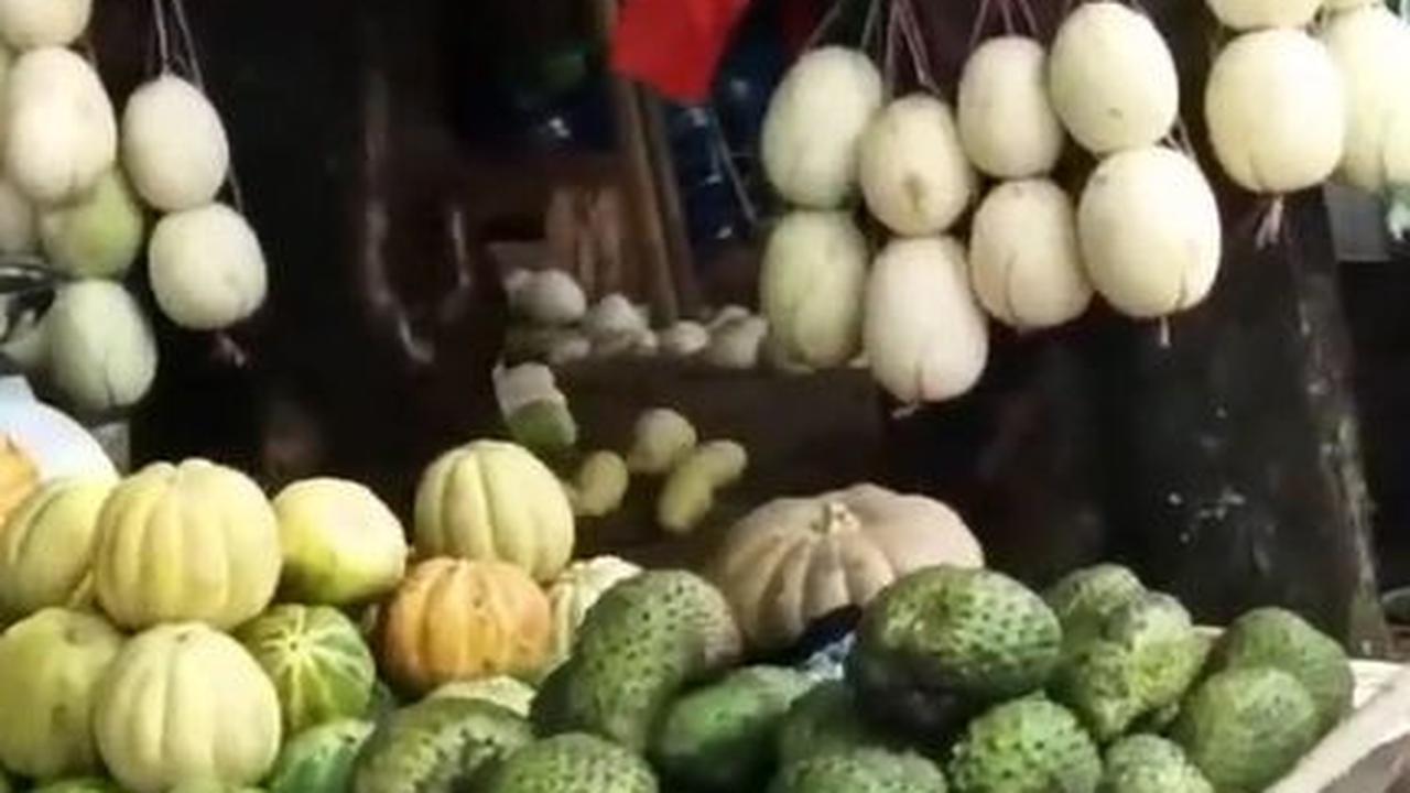 Desa Sriamur Jadi Lokasi Wisata Timun Suri di Bekasi saat Ramadan, Ini Sederet Daya Tariknya