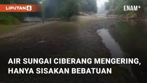 VIDEO: Viral Air Sungai Ciberang Mengering, Hanya Sisakan Bebatuan Sungai