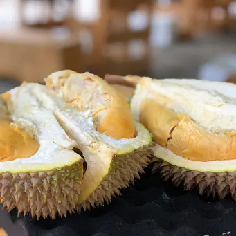 Ilustrasi Durian/https://unsplash.com/Jim&nbsp;Teo