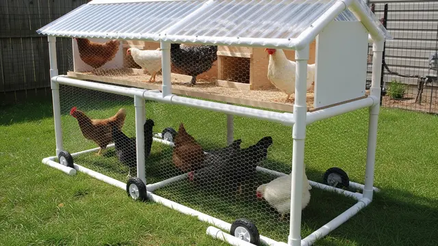 kandang ayam dari pipa pvc untuk lahan sempit (Image by Gemini AI)