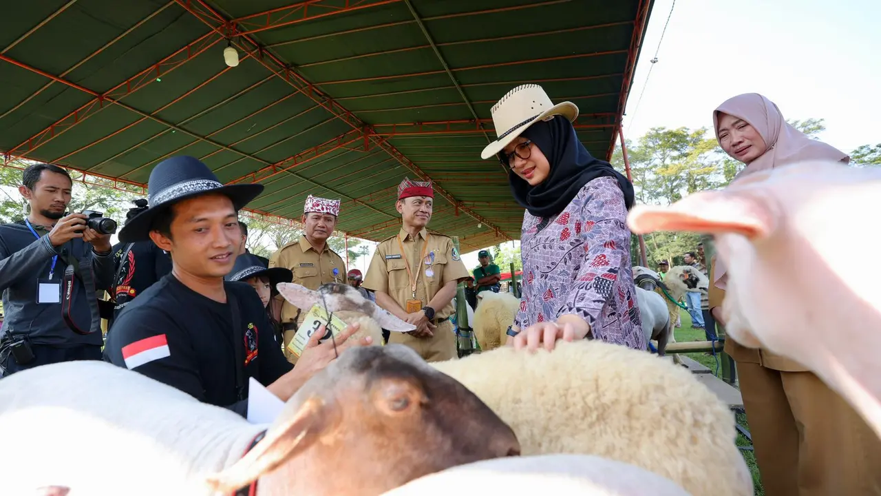 Bupati Banyuwangi Ipuk fiestiandani pantai hewan ternak yang dipamerkan di Banyuwangi (Istimewa)