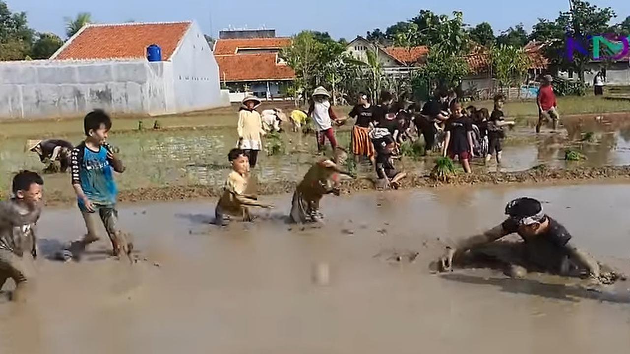 Keseruan Dedi Mulyadi ajak Anak-anak Tanam Padi di Sawah, Ending-nya Perang Lumpur