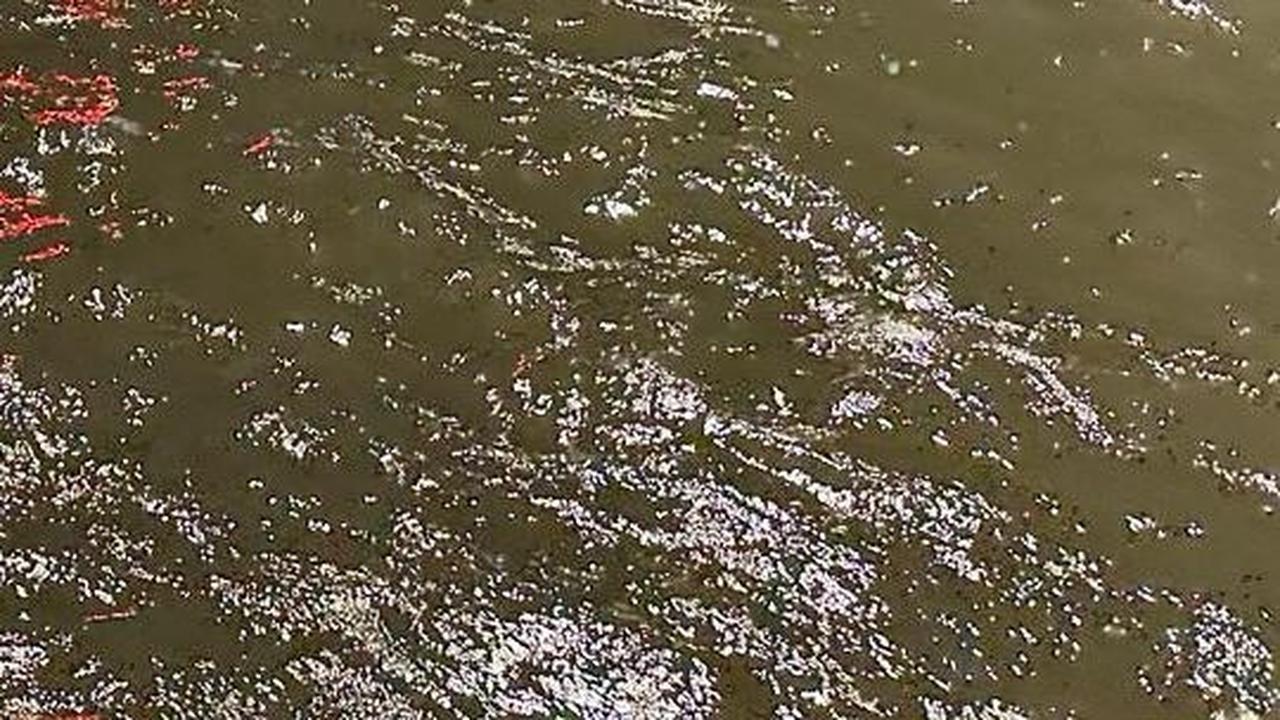 Banjir Melanda Pekalongan, Ibu dan Anak Ditemukan Meninggal Dunia