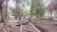 Pro-Kontra Pembangunan Hutan Kota Malang 