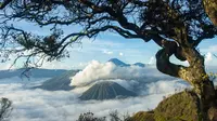 Wisata Gunung di Jawa Timur Terpopuler (Sumber: Pixabay)