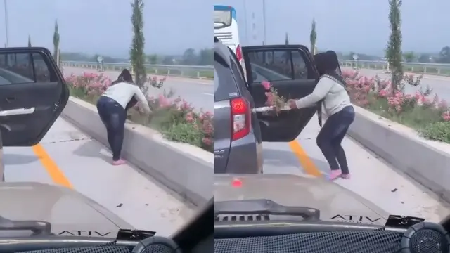 viral emak-emak petik bunga jalan tol