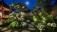 11 Tanaman yang Cocok untuk Ide Moon Garden, Taman Cantik dan Bercahaya di Malam Hari