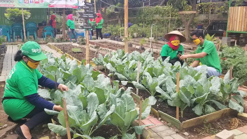 Kelompok Tani Wanita di Tangerang Manfaatkan Aplikasi untuk Bercocok Tanam