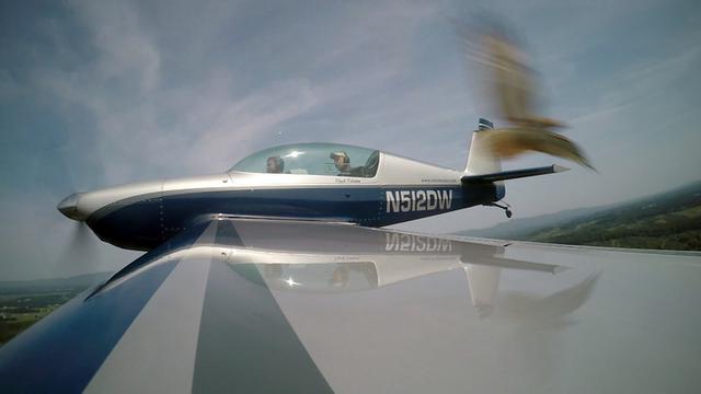 Selamat dari Musibah