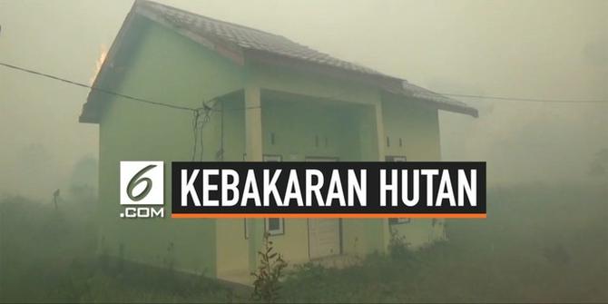 VIDEO: Kebakaran Lahan Meluas ke Permukiman