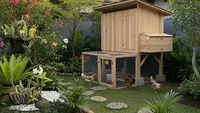Desain Kandang Ayam Urban Backyard: 5 Konsep Teknis yang Hemat Lahan dan Minim Bau