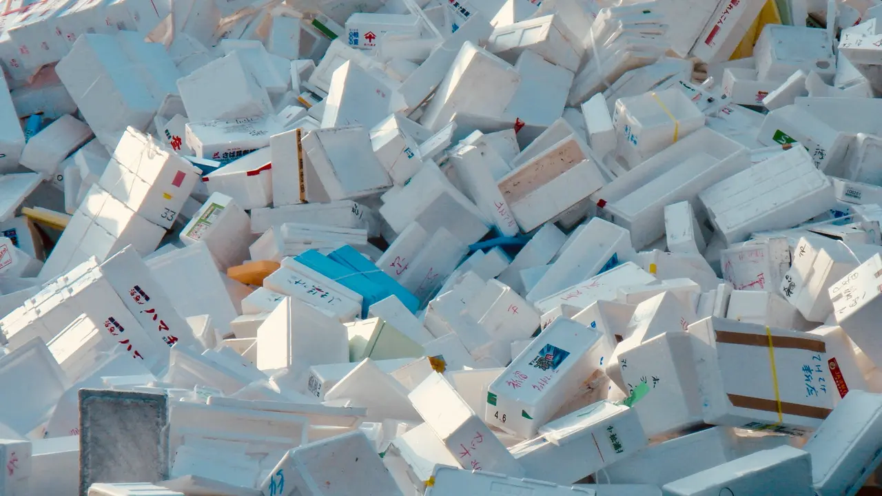 Tingkatkan Kesadaran Lingkungan dengan Program Say No To Styrofoam
