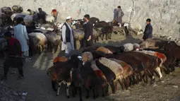 Pedagang memajang hewan ternak yang dijual jelang Hari Raya Idul Adha di Kabul, Afghanistan, Senin (27/7/2020). Idul Adha memperingati kisah Nabi Ibrahim atas kesediaan untuk mengorbankan putranya sebagai kepatuhan kepada Tuhan. (AP Photo/Rahmat Gul)