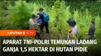 TIim Gabungan Kodim Pidie bersama Polres Pidie berhasil menemukan lahan tanaman ganja seluas 1,5 hektar. Dari penemuan di lereng perbukitan hutan Pidie, Aceh, didapati sekitar 1.500 batang ganja berbagai ukuran.