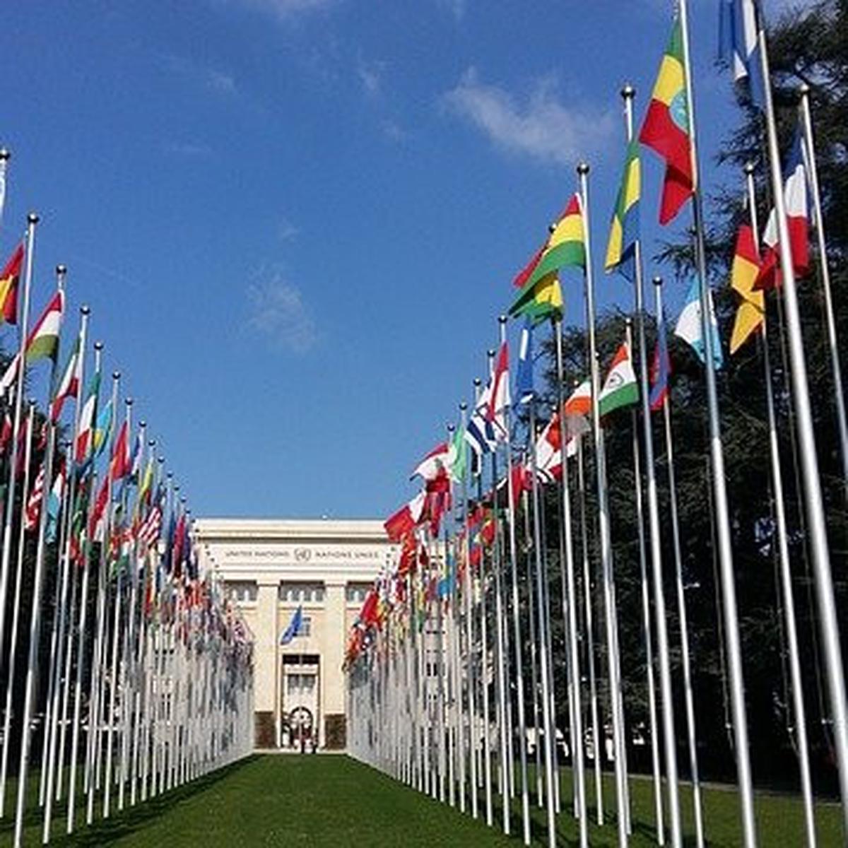 10 Macam-Macam Organisasi Internasional, Ketahui Fungsi ...