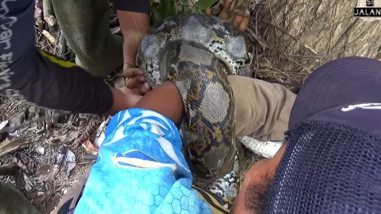 Bambang mencoba menenangkan situasi dengan bercanda usai berhasil melewati momen mencekam itu. Mereka kembali melanjutkan aktivitas memancing seperti biasa di sungai.<br>