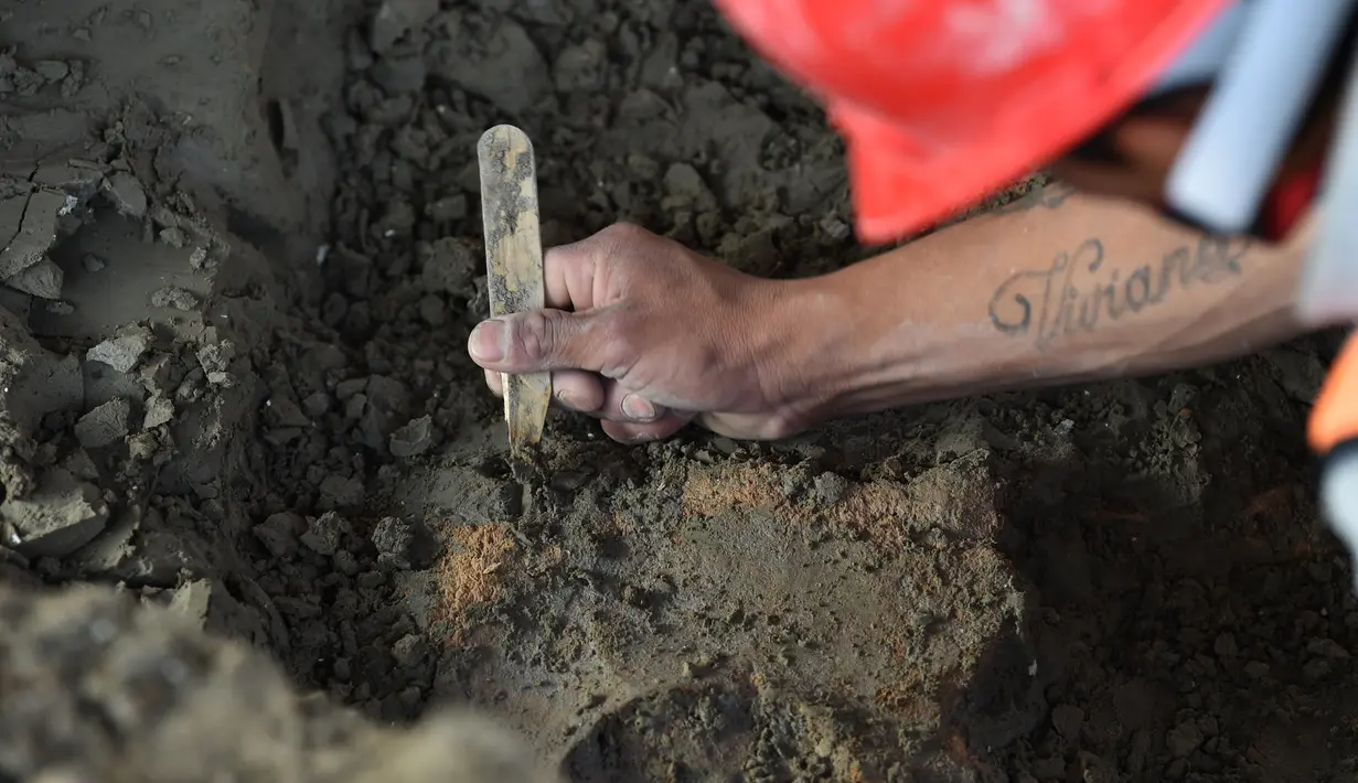 Ahli paleontologi dari Institut Antropologi Nasional bekerja menggali kerangka mammoth yang ditemukan di Pangkalan Militer Santa Lucia di Kotamadya Zumpango, Meksiko (8/9/2020). (AFP/Rodrigo Arangua)