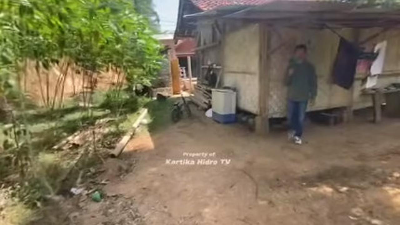 Memilih Hidup di Tengah Hutan dengan Rumah Sederhana, Pasangan Suami Istri Ini Ternyata Buka Orang Sembarangan